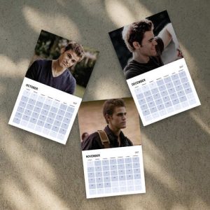 A Year Of Stefan Salvatore 2027 Calendar, The Vampire Diaries Movie - Image 5
