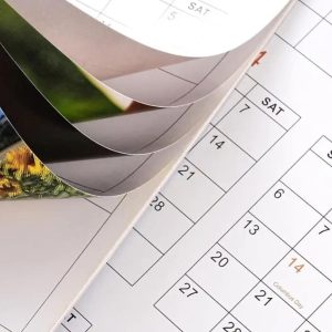 2027 Theo James Lifestyle Calendar, Spiral Bound Monthly Planner - Image 5